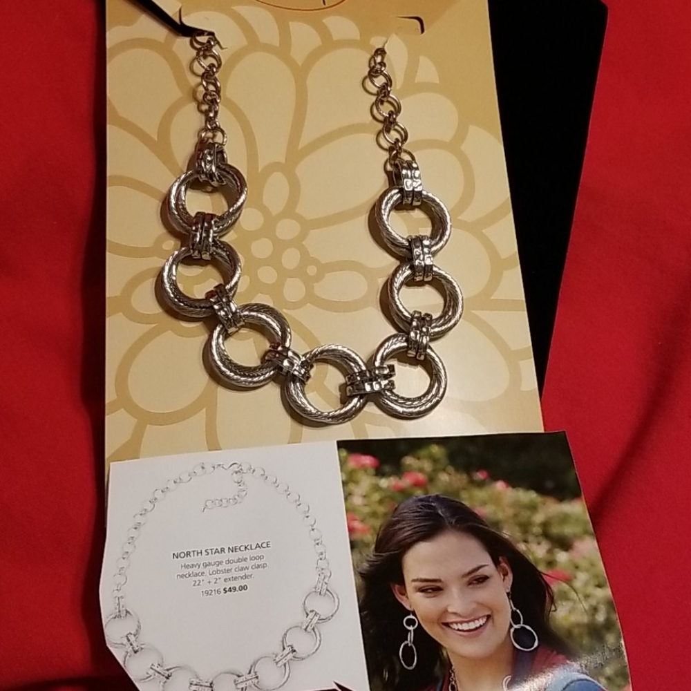 new penelope ann silver link necklace